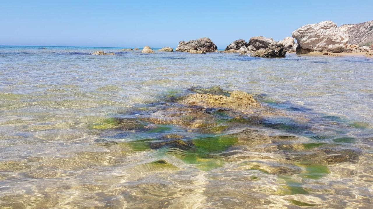 Villa Alfonso Con Vista Mare ซิคูเลียนา มารินา ภายนอก รูปภาพ